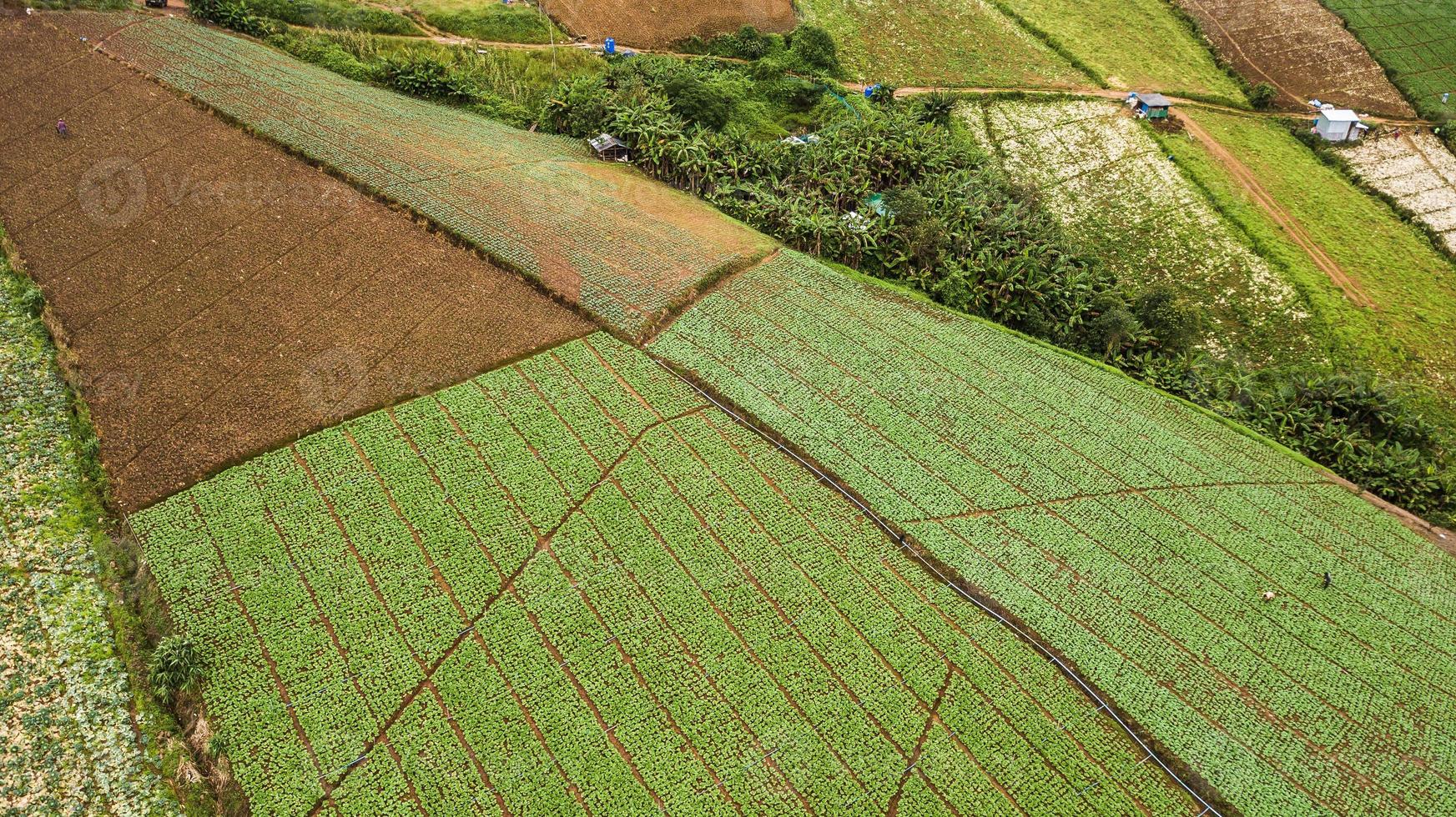 una veduta aerea della zona agricola foto