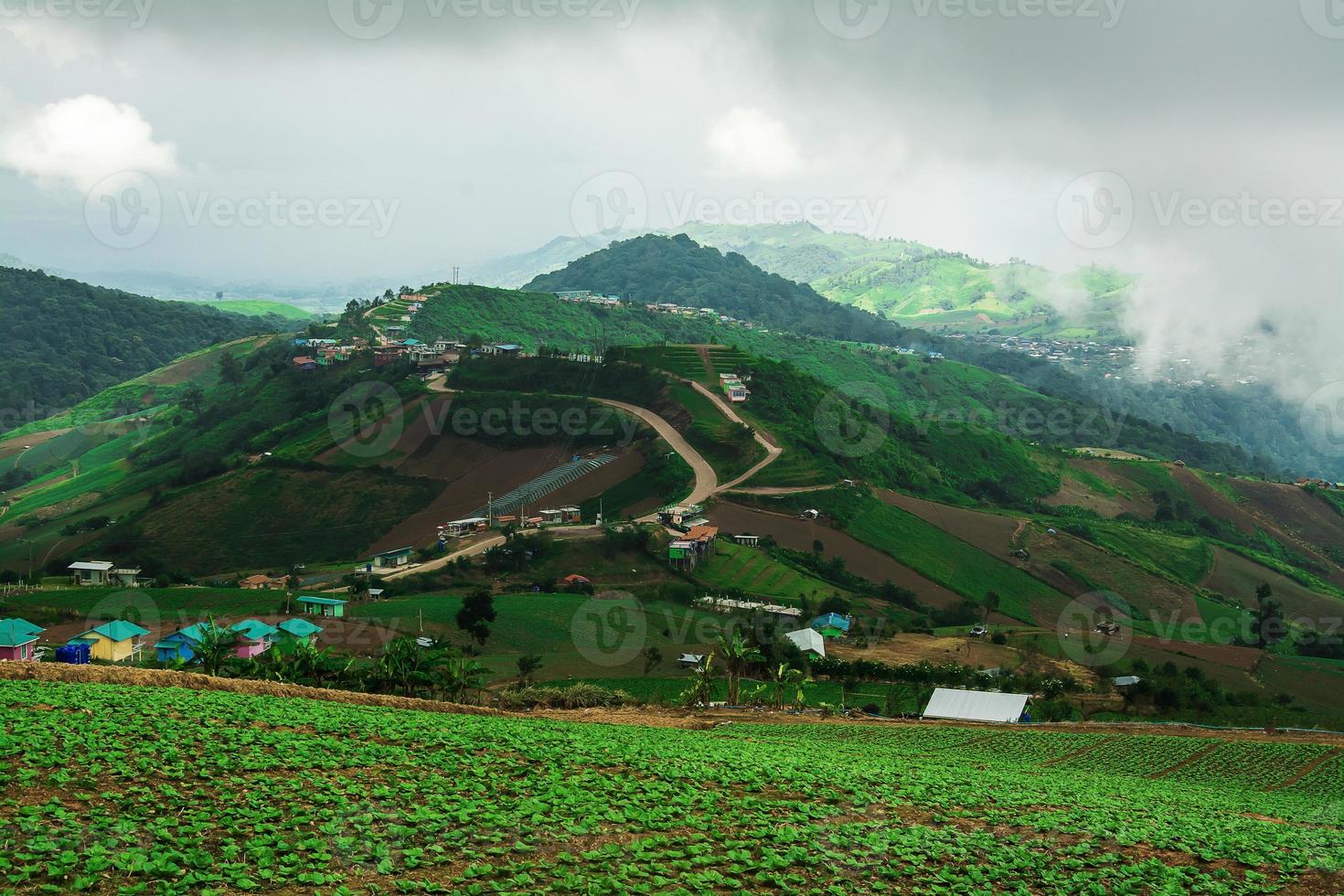 paesaggio della zona agricola sulla montagna, in tailandia foto