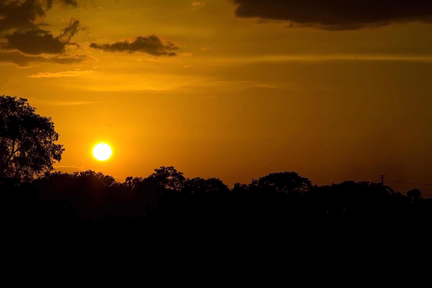 il sole sta sorgendo e tramonta al mattino-sera e gli alberi sono ombreggiati di nero - cielo arancione e nuvole. caldo, romantico e gloriosamente bello, sembra caldo e in viaggio. foto