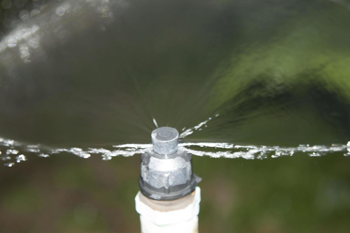 gli irrigatori agricoli degli agricoltori per piantare alberi da coltivare naturalmente per la raccolta e la vendita nel mercato degli ortaggi freschi è un sistema idrico moderno e controllato. foto