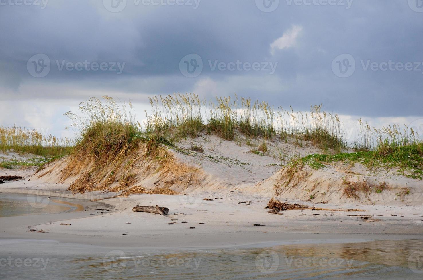 dune di sabbia sul golfo foto
