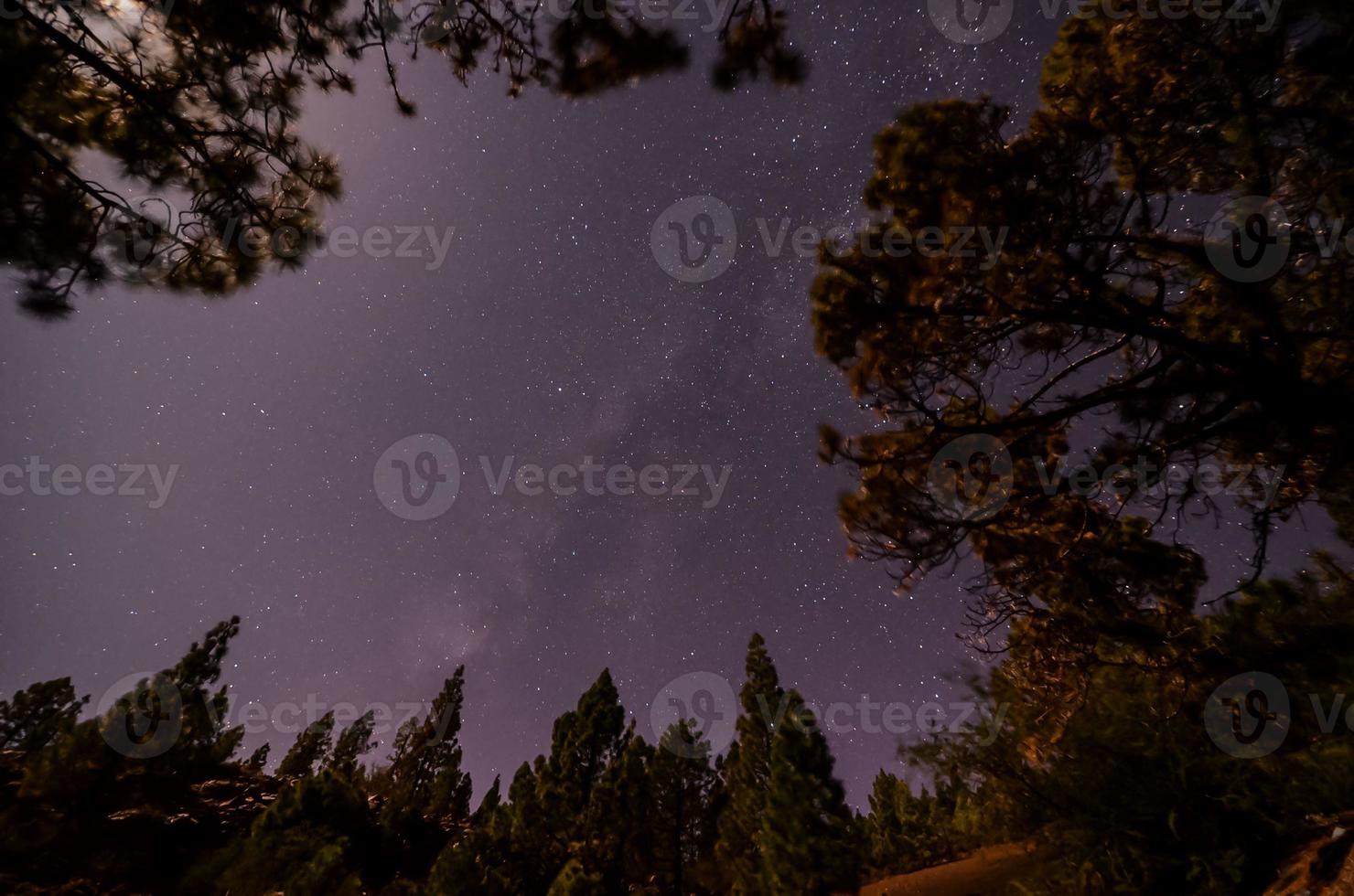 stelle nel cielo di notte foto