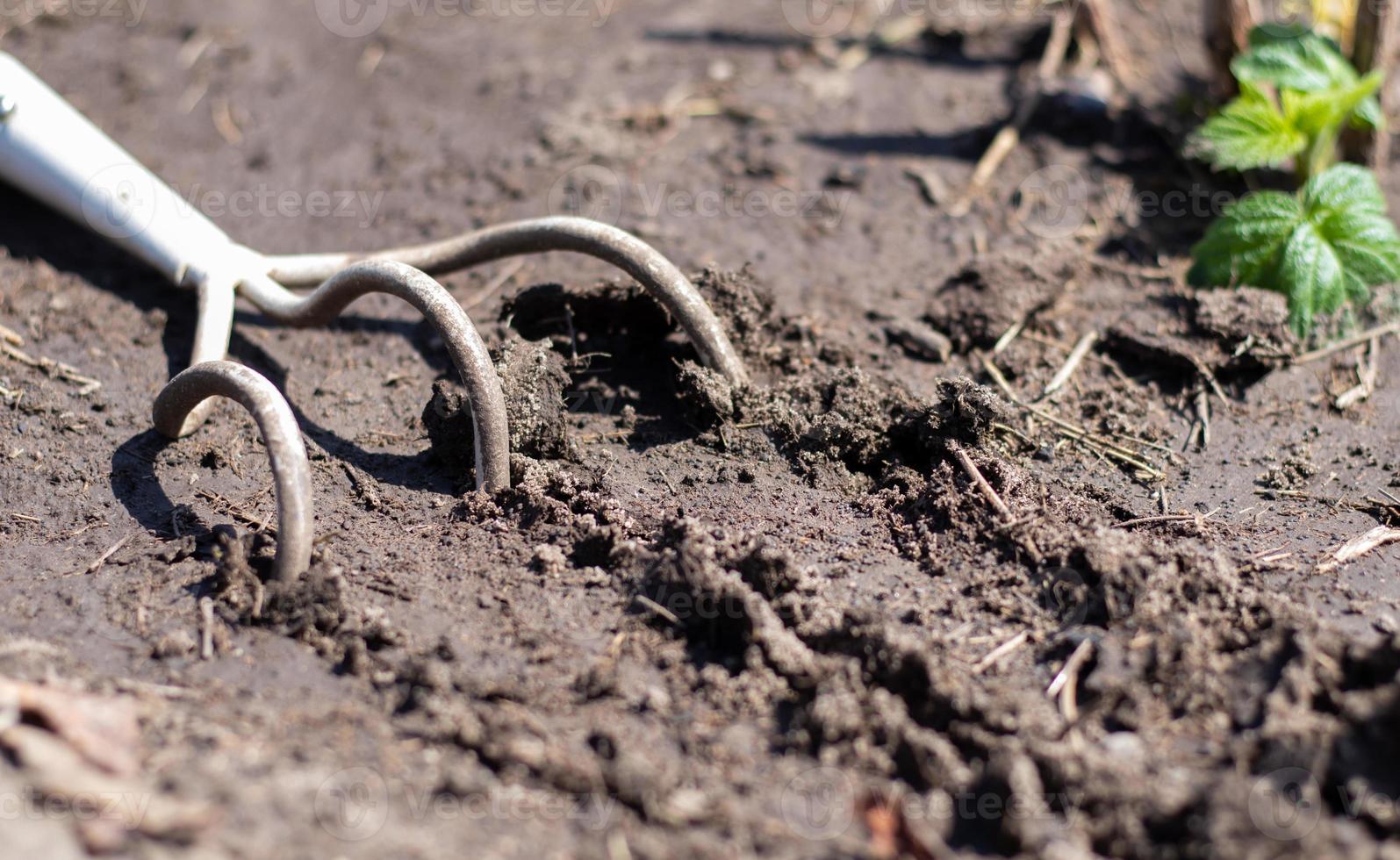 un piccolo rastrello polveroso usato nei giardini domestici. attrezzi da  giardino per il giardinaggio e la