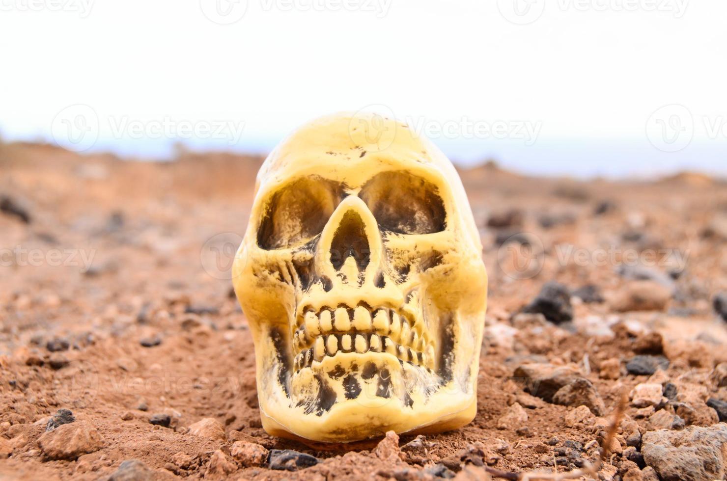 cranio umano abbandonato foto