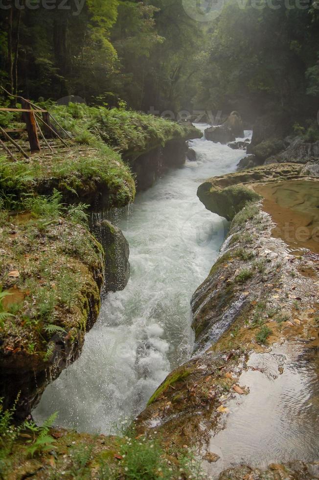 semuc champey guatemala foto