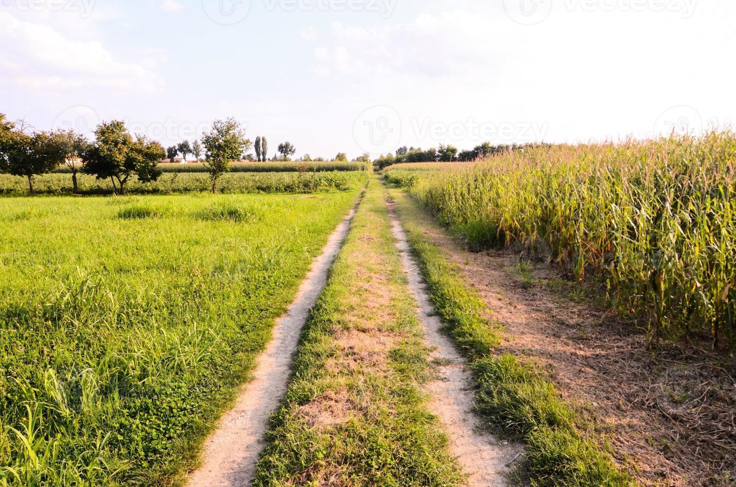 strada sterrata di campagna foto