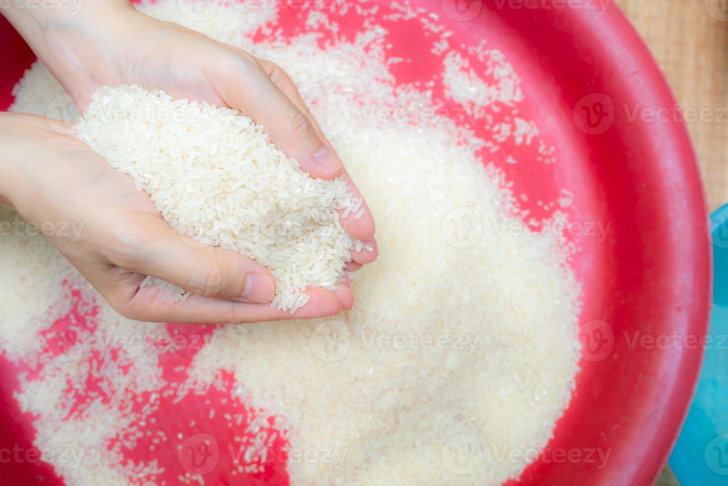 mano della donna che tiene il riso sopra il vassoio di plastica rosso. crisi alimentare mondiale. riso bianco macinato crudo. grano biologico. prezzo del riso nel mercato mondiale. rendimento mondiale per il concetto di riso. zakat e carità. foto