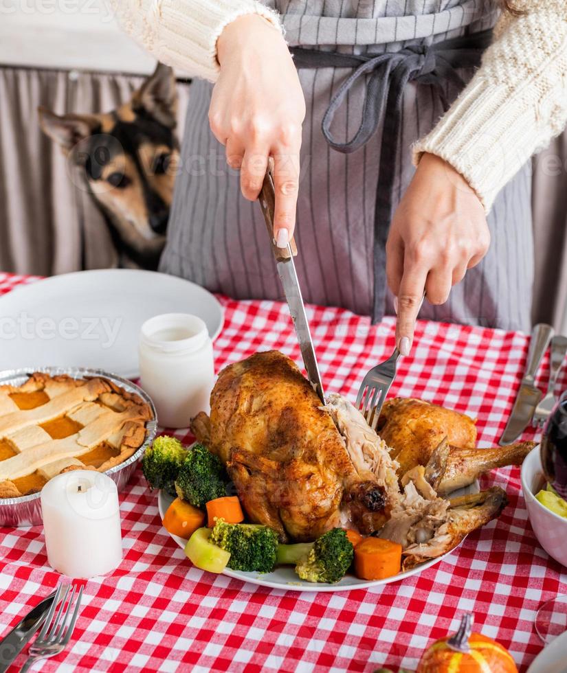 donna che prepara la cena del ringraziamento a casa cucina, cane che guarda il tavolo da dietro foto