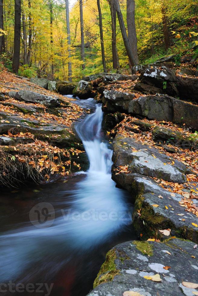 torrente di montagna d'autunno sulle rocce foto