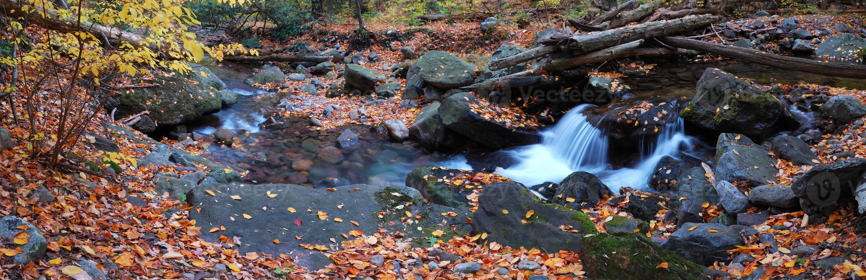 panorama del torrente autunnale foto