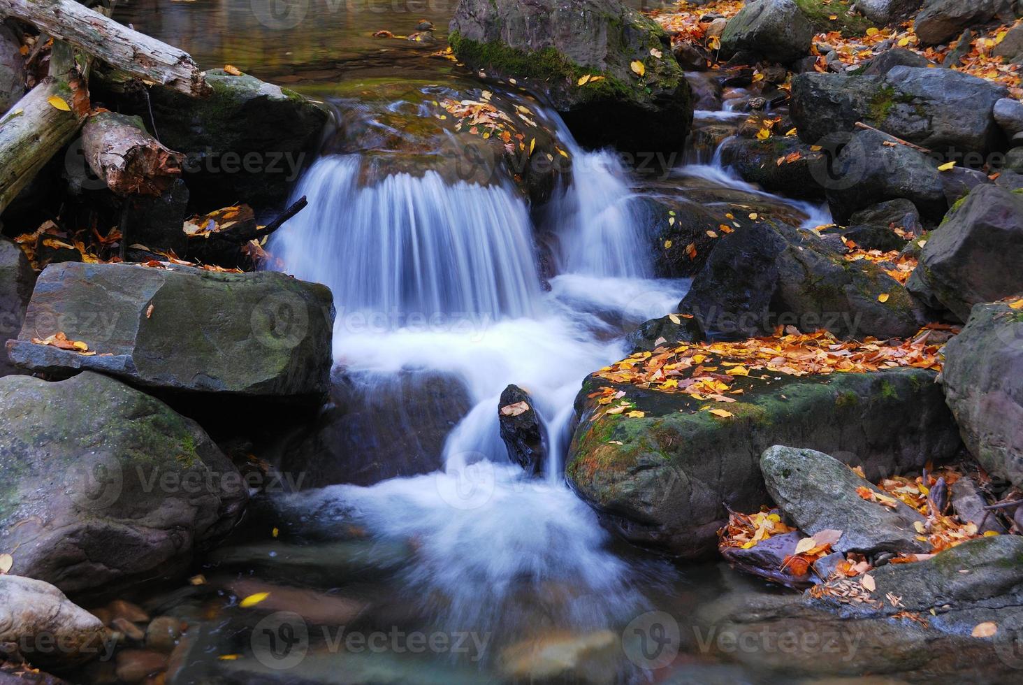 primo piano del torrente autunnale foto