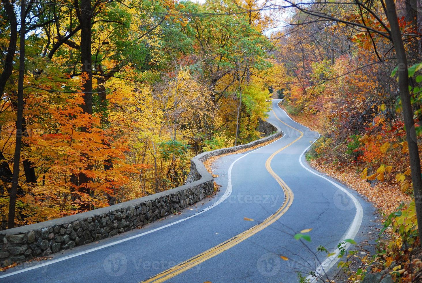 tortuosa strada autunnale con fogliame colorato foto