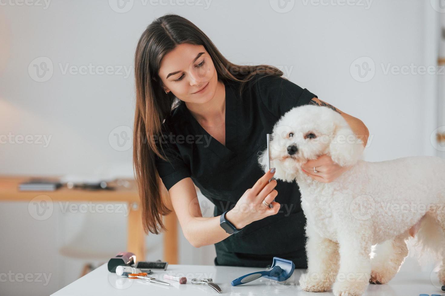 la giovane donna sta lavorando con l'animale domestico. simpatico cagnolino è nello studio di toelettatura foto