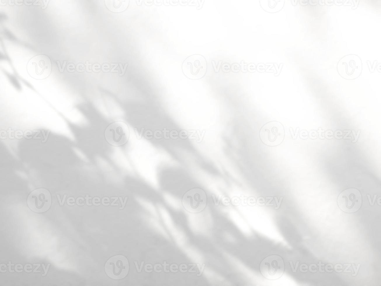 ombra astratta di foglie su uno sfondo bianco muro foto