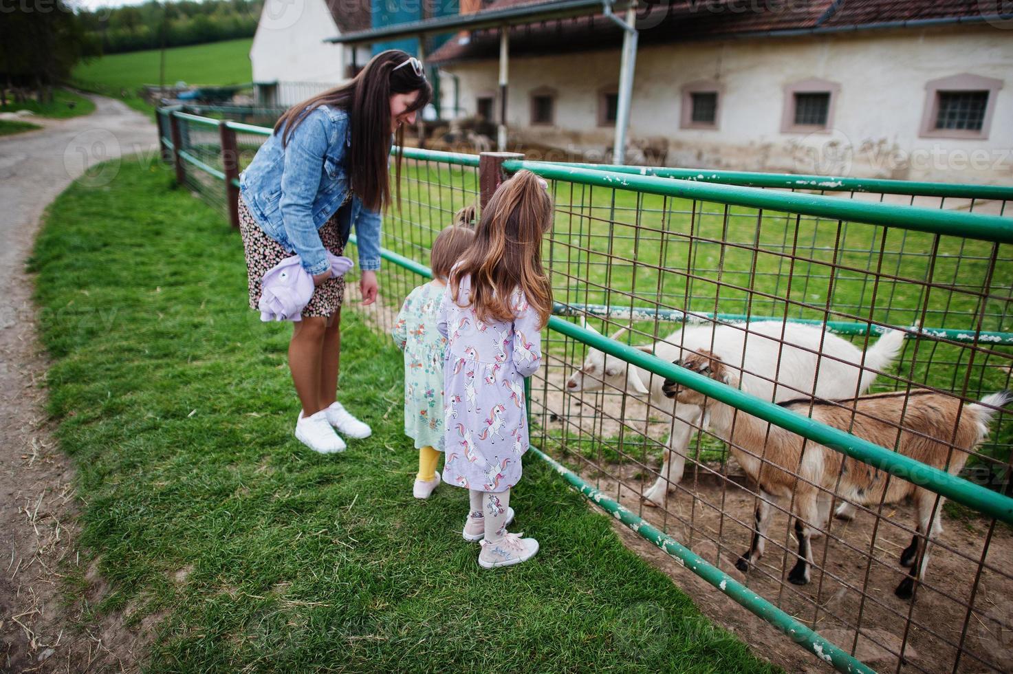 madre con bambini in una fattoria ecologica animale alimenta le capre. foto