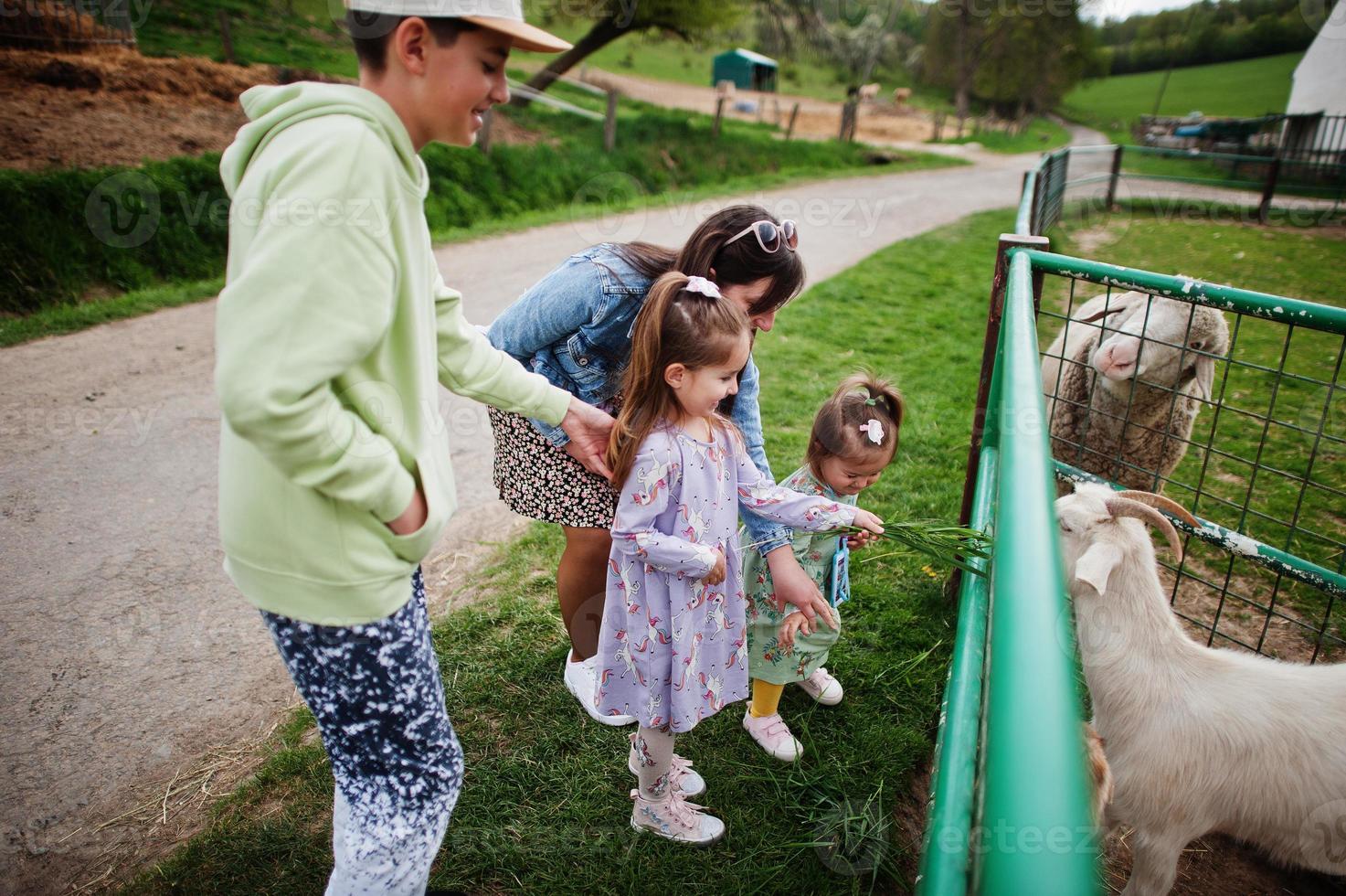 madre con bambini in una fattoria ecologica animale alimenta le capre. foto