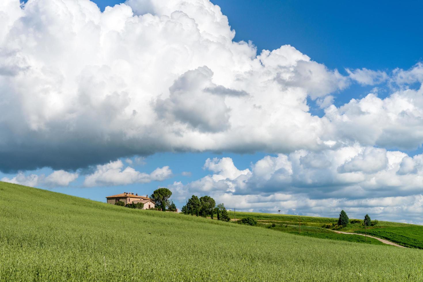 val d'orcia, toscana, italia, 2013. terreni agricoli in val d'orcia toscana foto