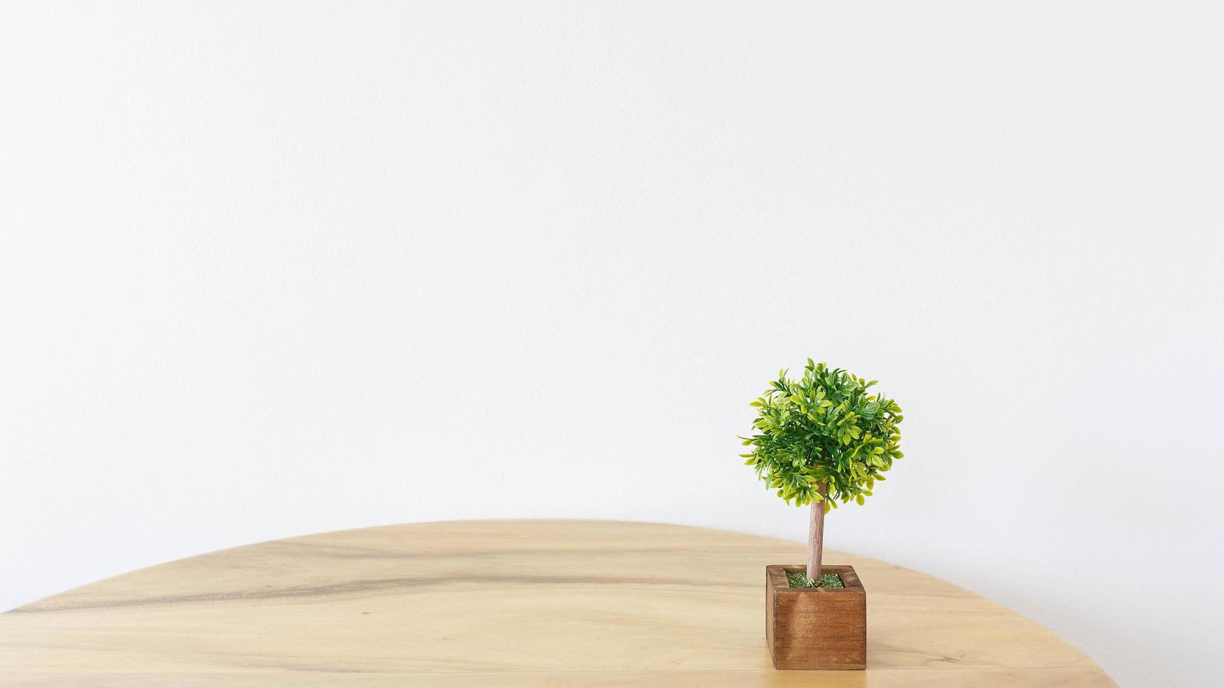 mockup di piccolo albero verde sul tavolo di legno foto