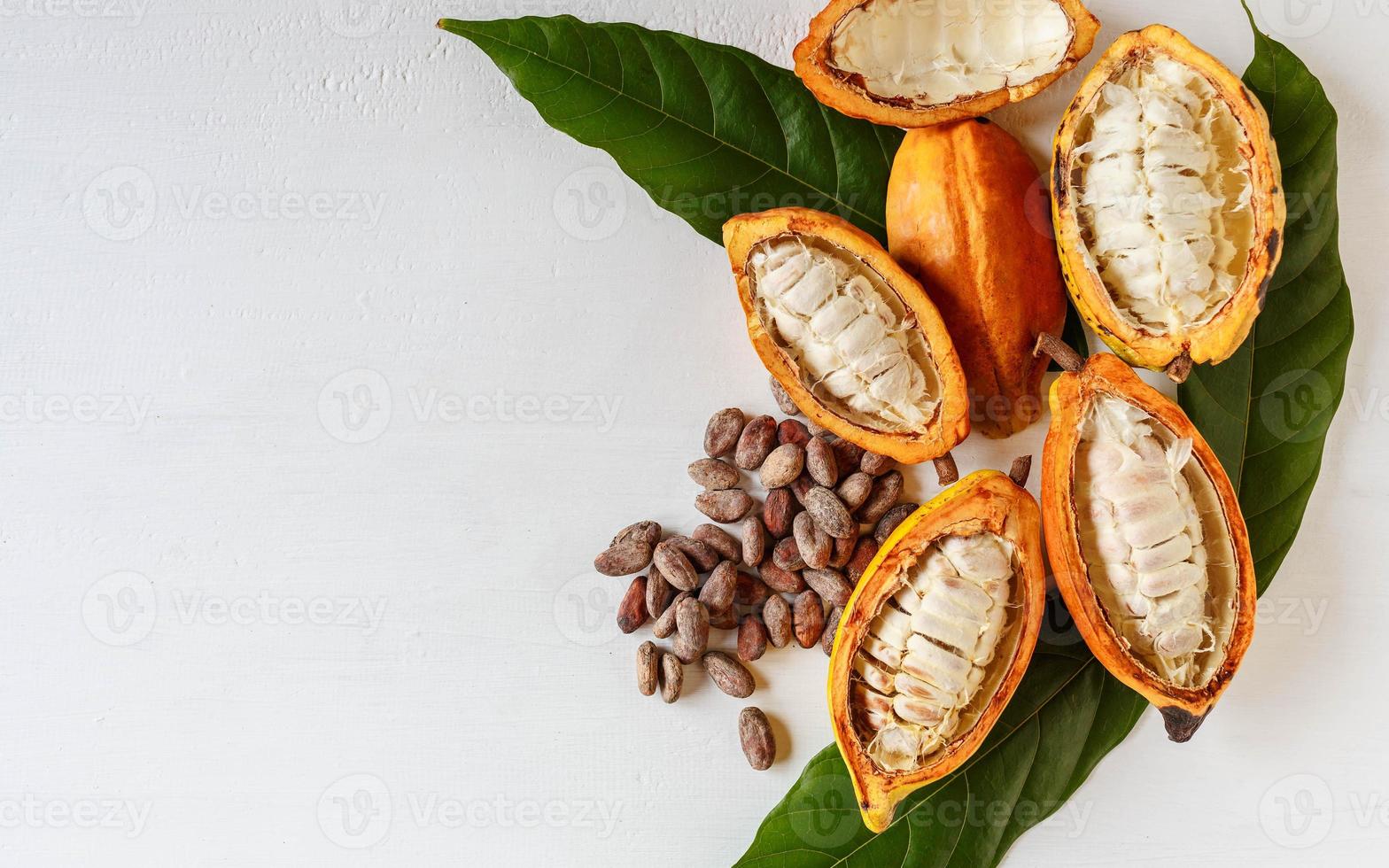 mezzo baccello di cacao e frutto di cacao con fave di cacao marroni foto