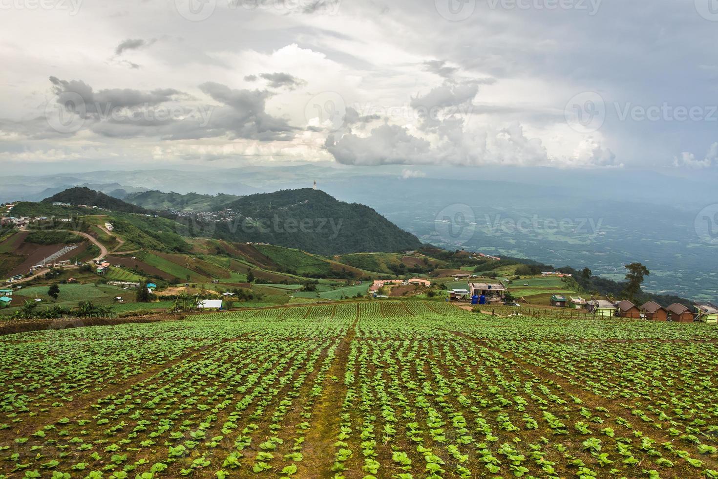 paesaggio della zona agricola sulla montagna, in tailandia foto