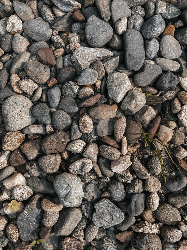 foto verticale per il design dello sfondo con diverse piccole pietre e piante tra di esse. colpo di struttura naturale per carta da parati, sfondo decorativo, piccoli oggetti