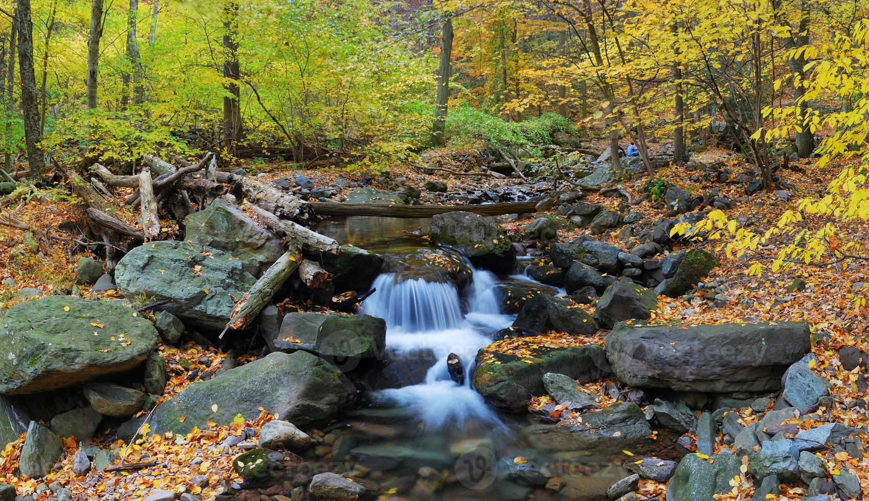 vista sul torrente autunnale foto