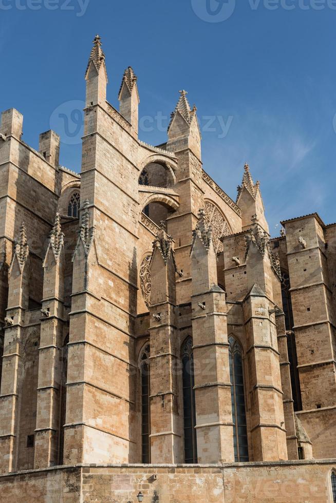 cupola di palma di maiorca, spagna foto