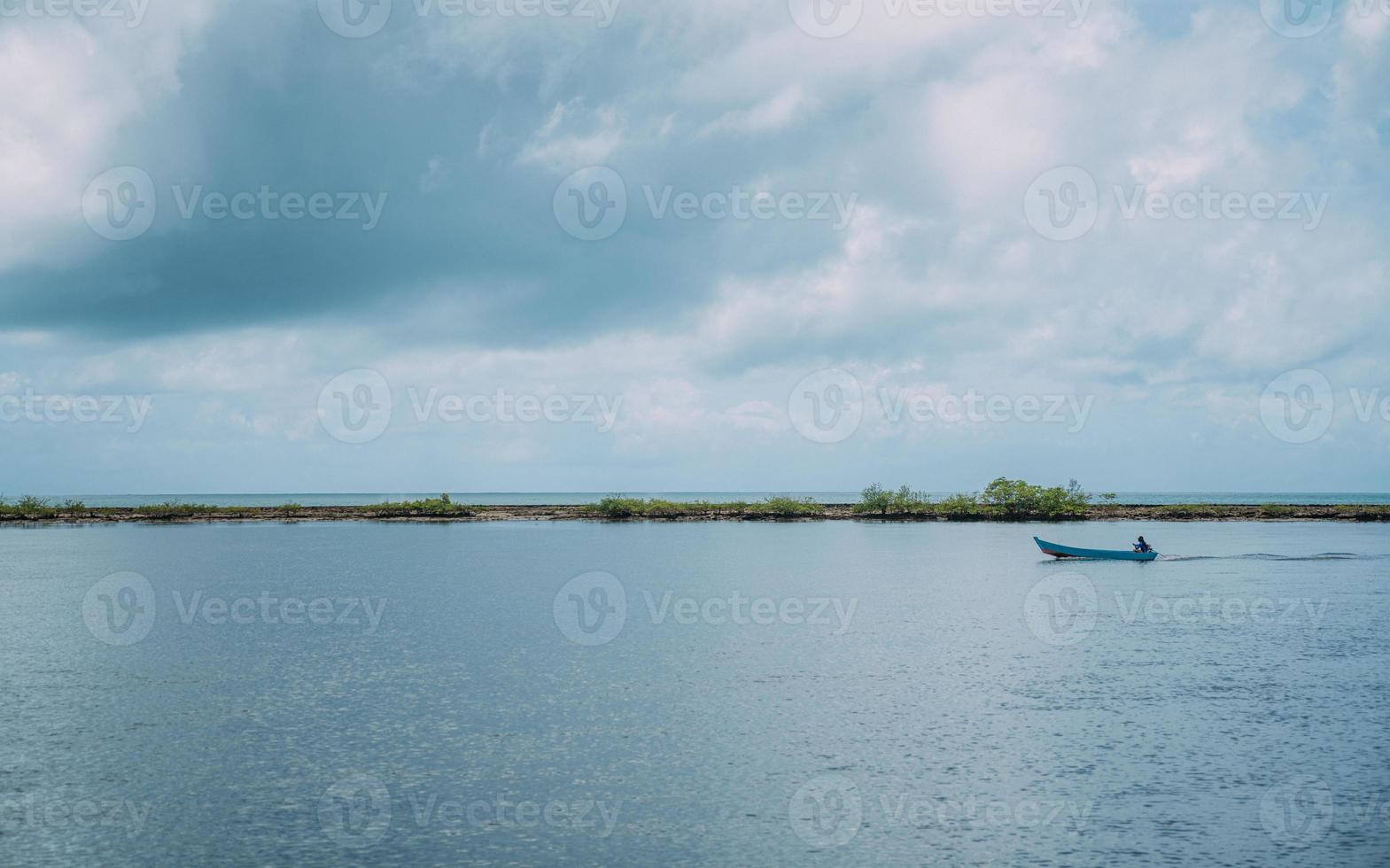 vista panoramica sul mare del tranquillo paesaggio della palude di mangrovie sulla costa di bahia, brasile foto