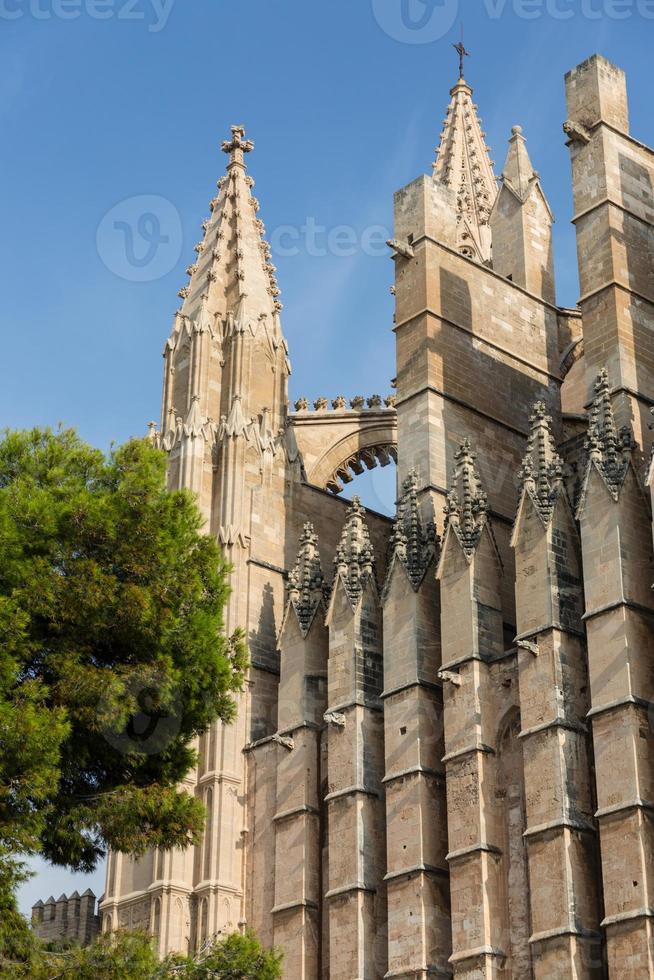 cupola di palma di maiorca, spagna foto