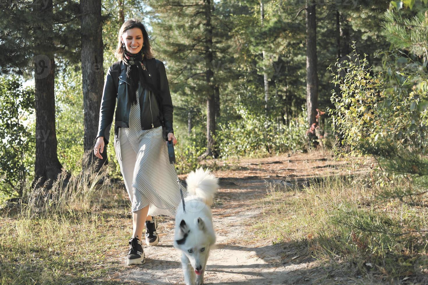 giovane donna che cammina nella foresta con un cane. soleggiata giornata autunnale. donna sorridente che indossa un vestito e una giacca che guarda la telecamera e si diverte con laika yakutiana bianca mentre cammina lungo il passo foto