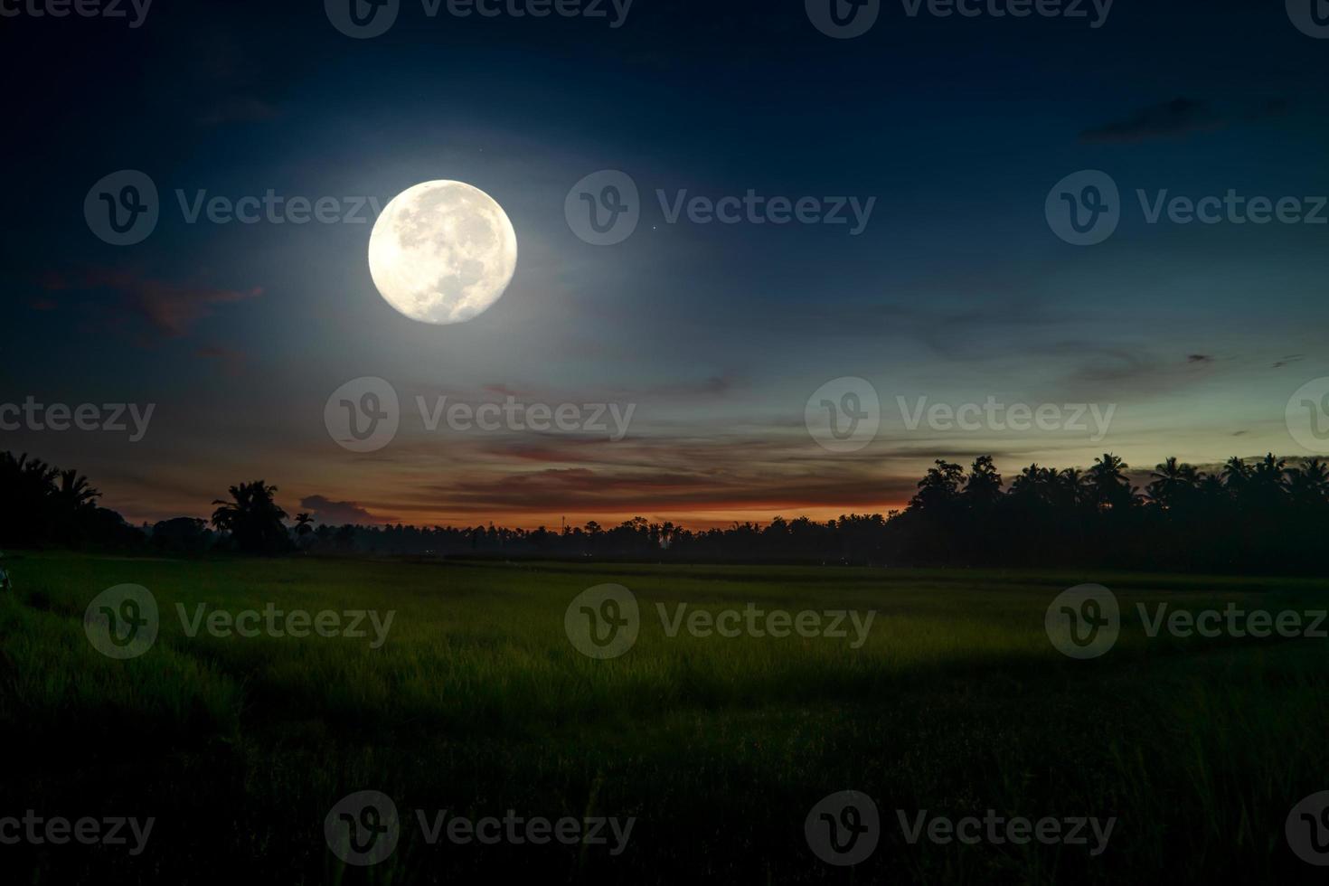 notte drammatica sul campo con la luna piena luminosa foto