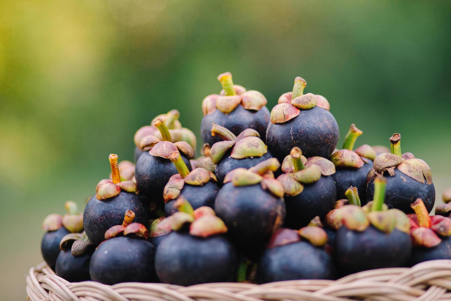 il mangostano è un frutto asiatico molto popolare. il mangostano è stato conosciuto come la regina dei frutti foto