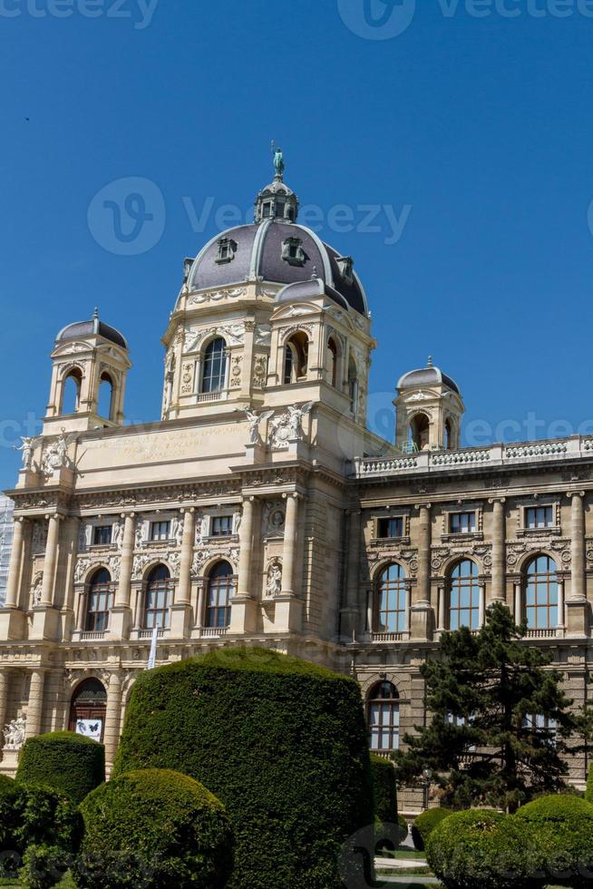 museo di storia naturale, vienna foto