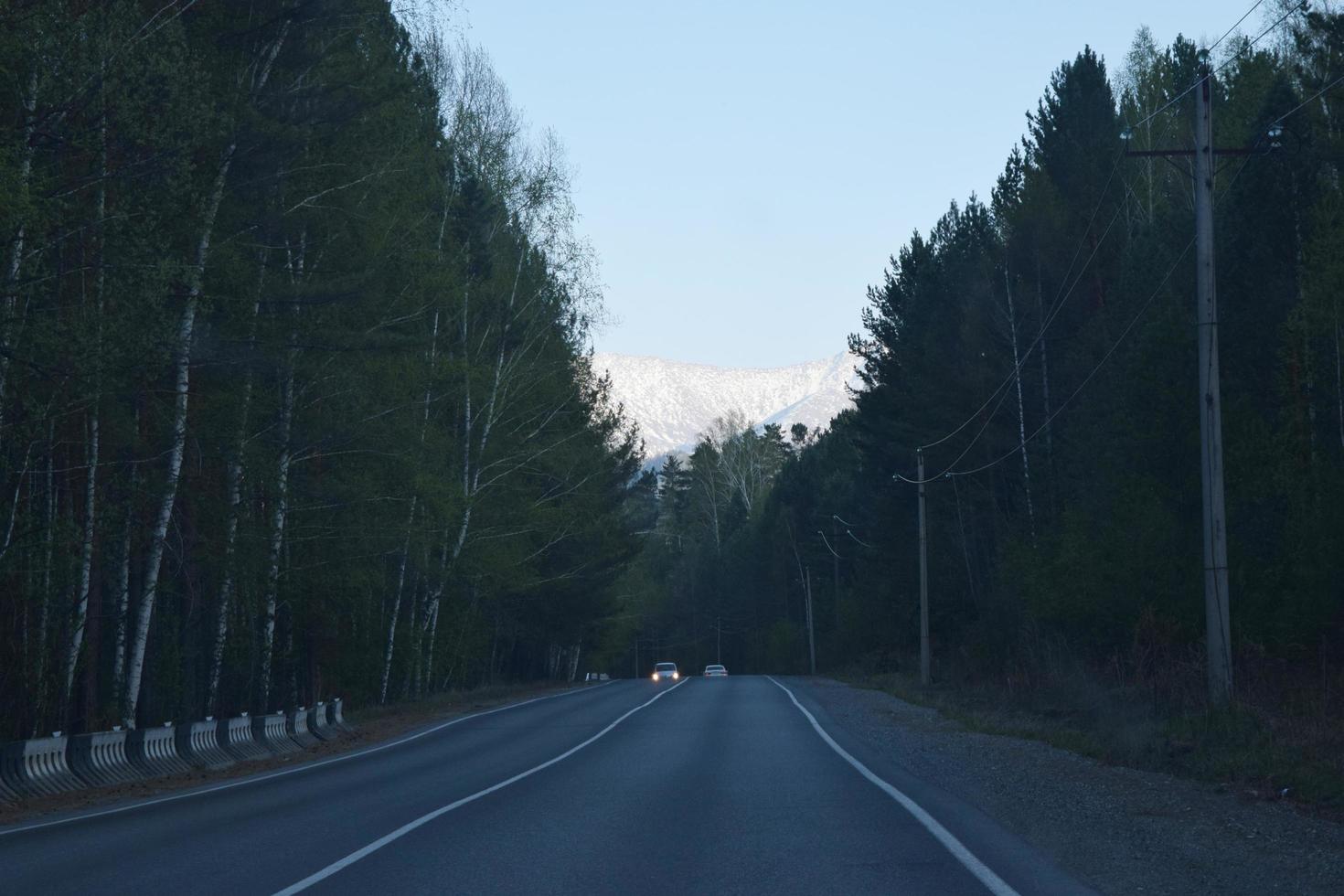 autostrada tra la taiga nella siberia orientale foto