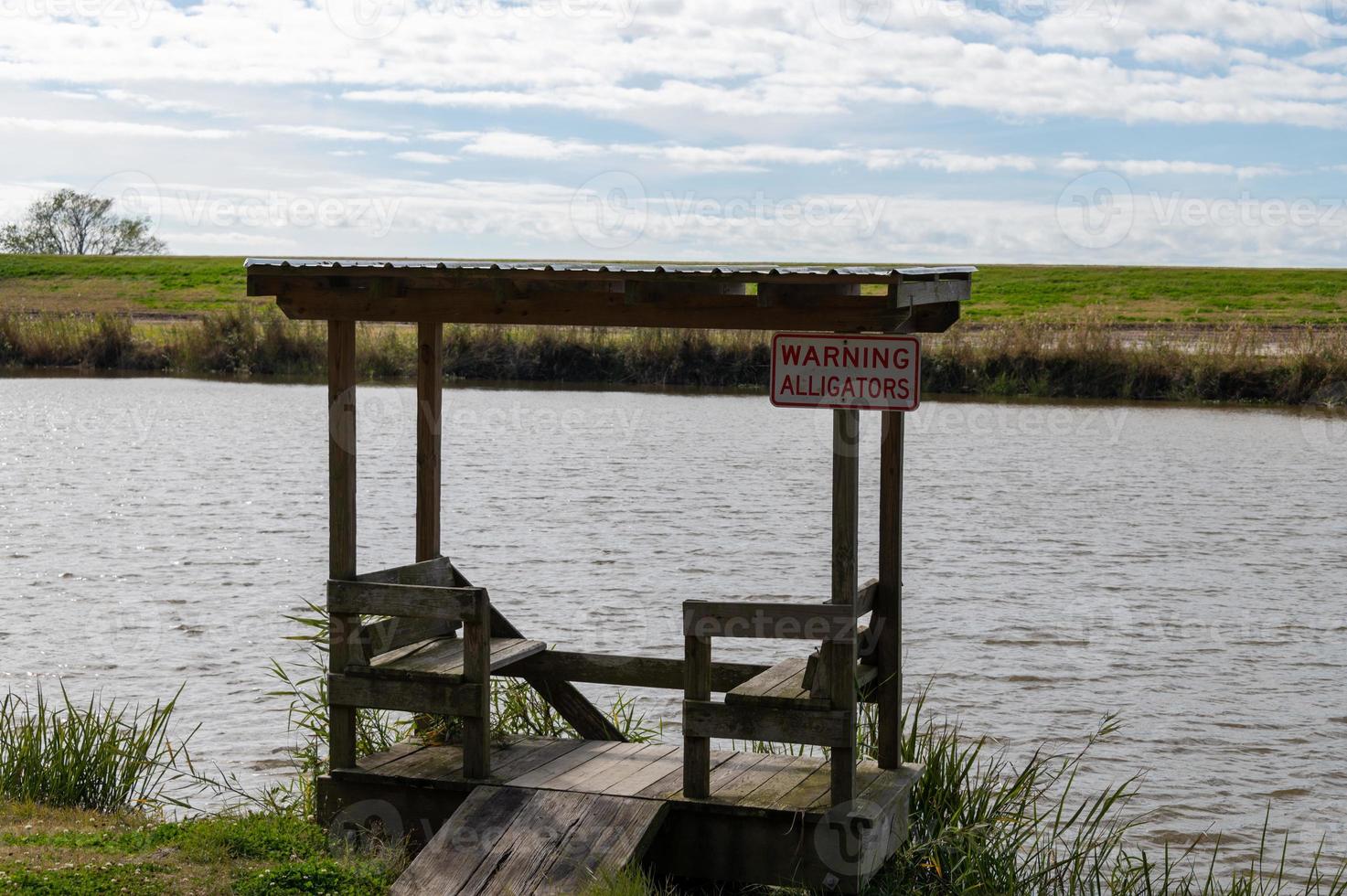 alligatori d'avvertimento sul bayou foto