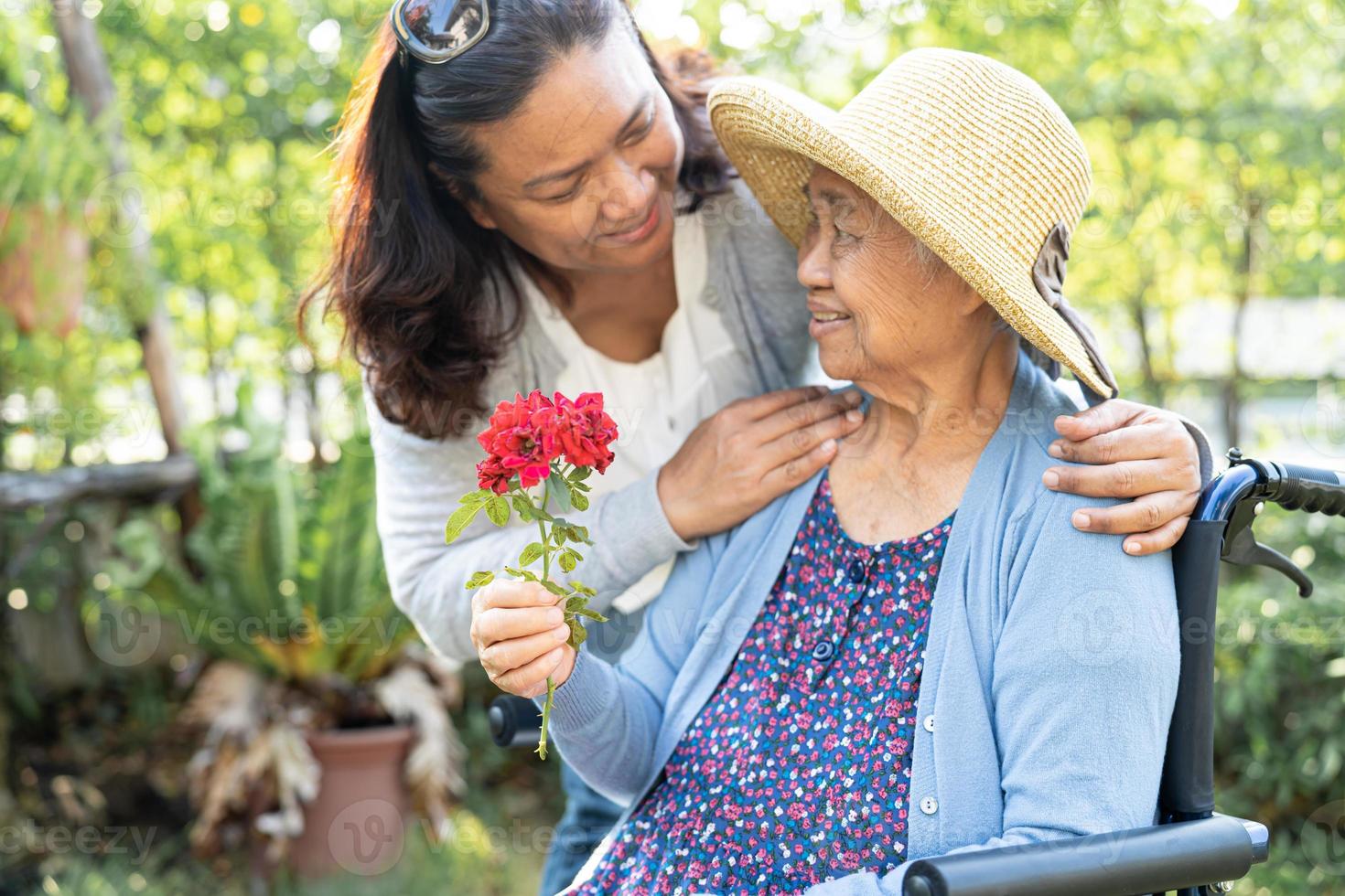 figlia del caregiver abbraccia e aiuta asiatica anziana o anziana signora anziana che tiene una rosa rossa su sedia a rotelle nel parco. foto