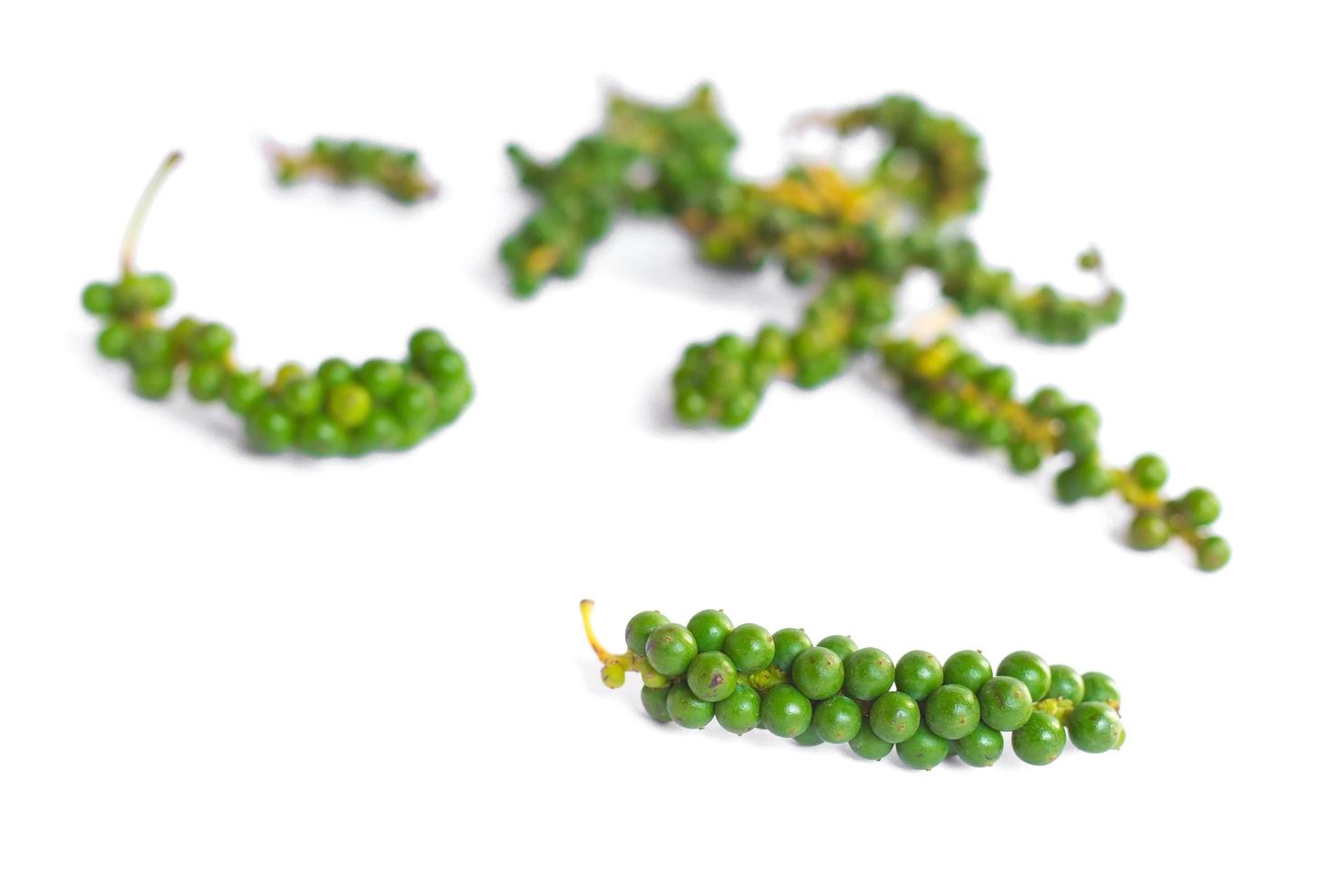 pepe verde fresco il re delle spezie ha un sapore piccante su fondo bianco. foto