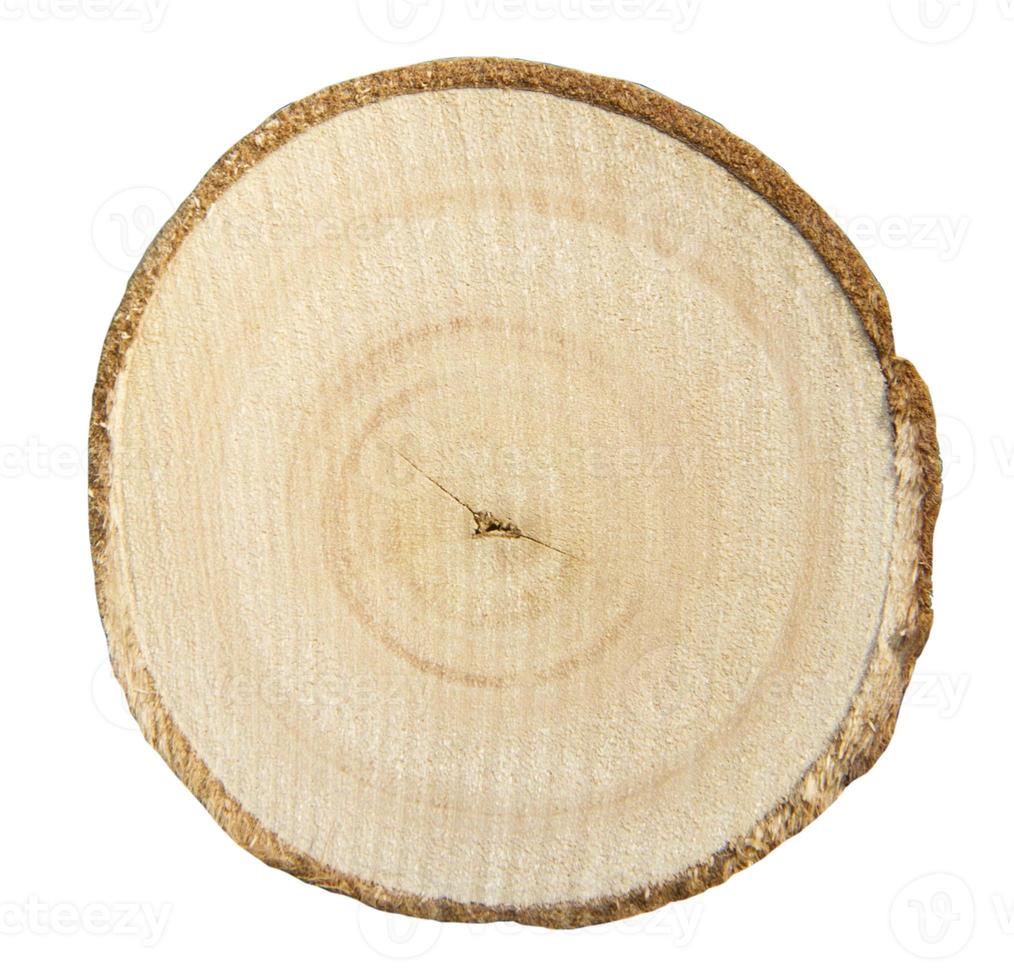 sezione trasversale del tronco d'albero isolato su sfondo bianco foto