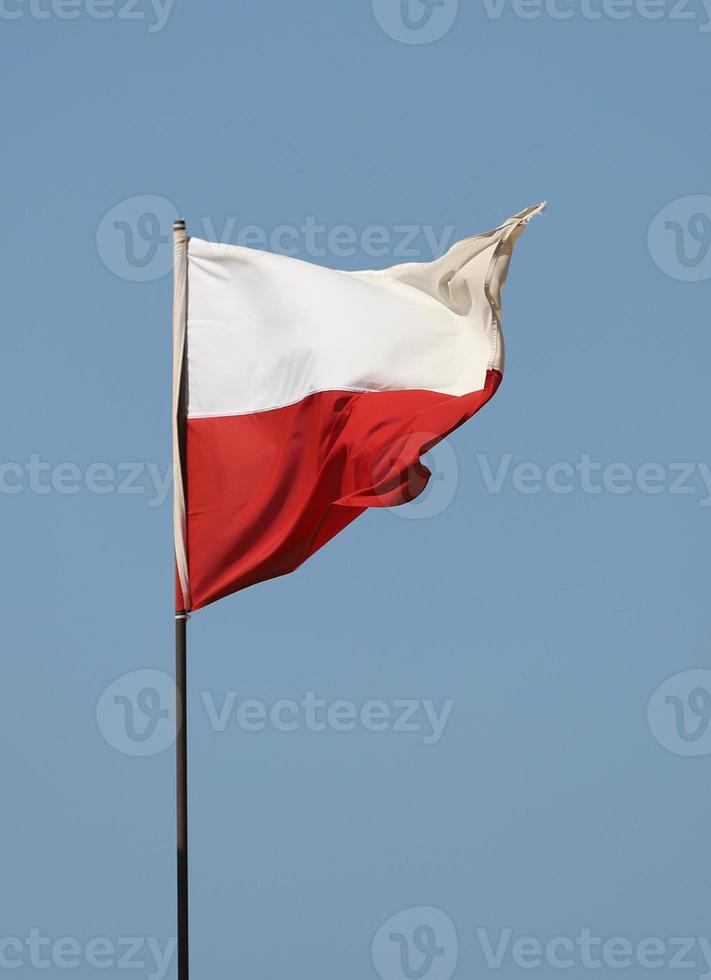 bandiera polacca che sventola sull'asta della bandiera foto