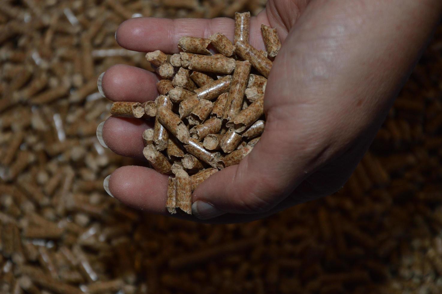 zoom su pochi pellet di legno foto