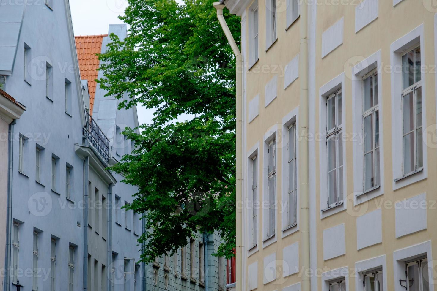 città di tallinn in estonia foto