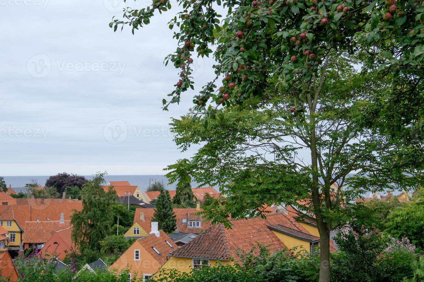 città di tallinn in estonia foto