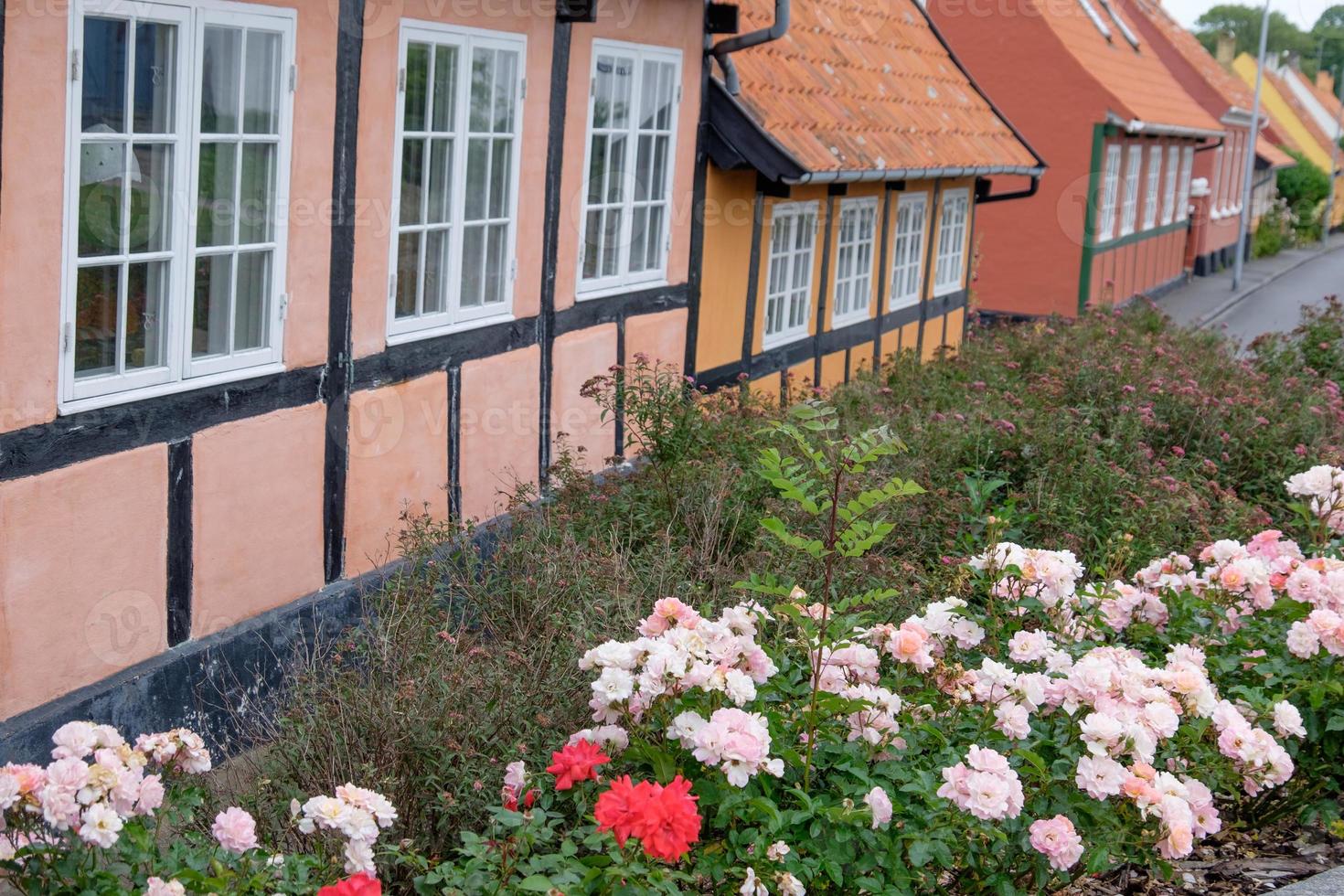 svaneke sull'isola di Bornholm foto