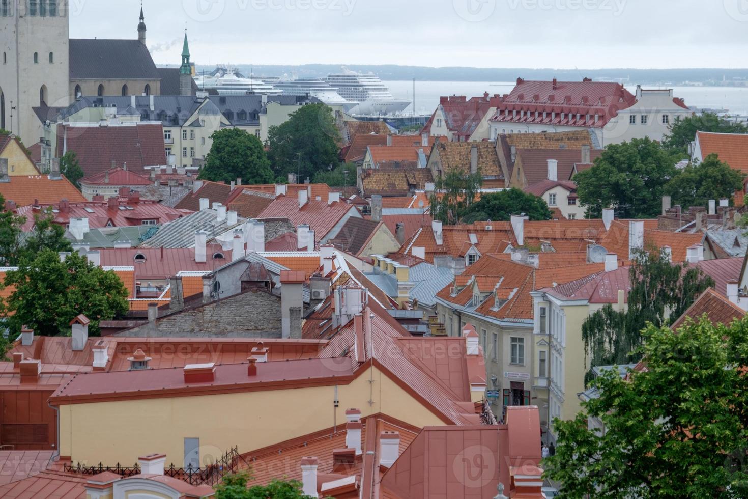 città di tallinn in estonia foto