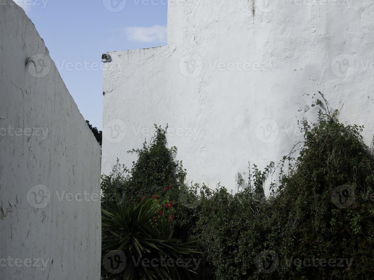 la città di tunisi in tunisia foto