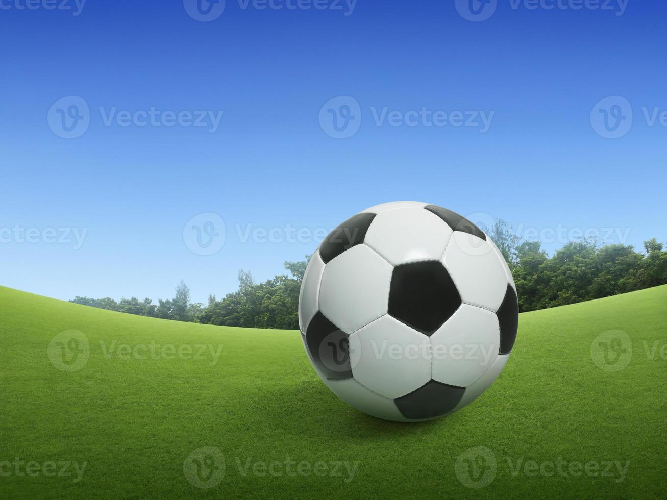 pallone da calcio tradizionale sull'immagine di sfondo del lussureggiante campo in erba sotto il cielo blu foto