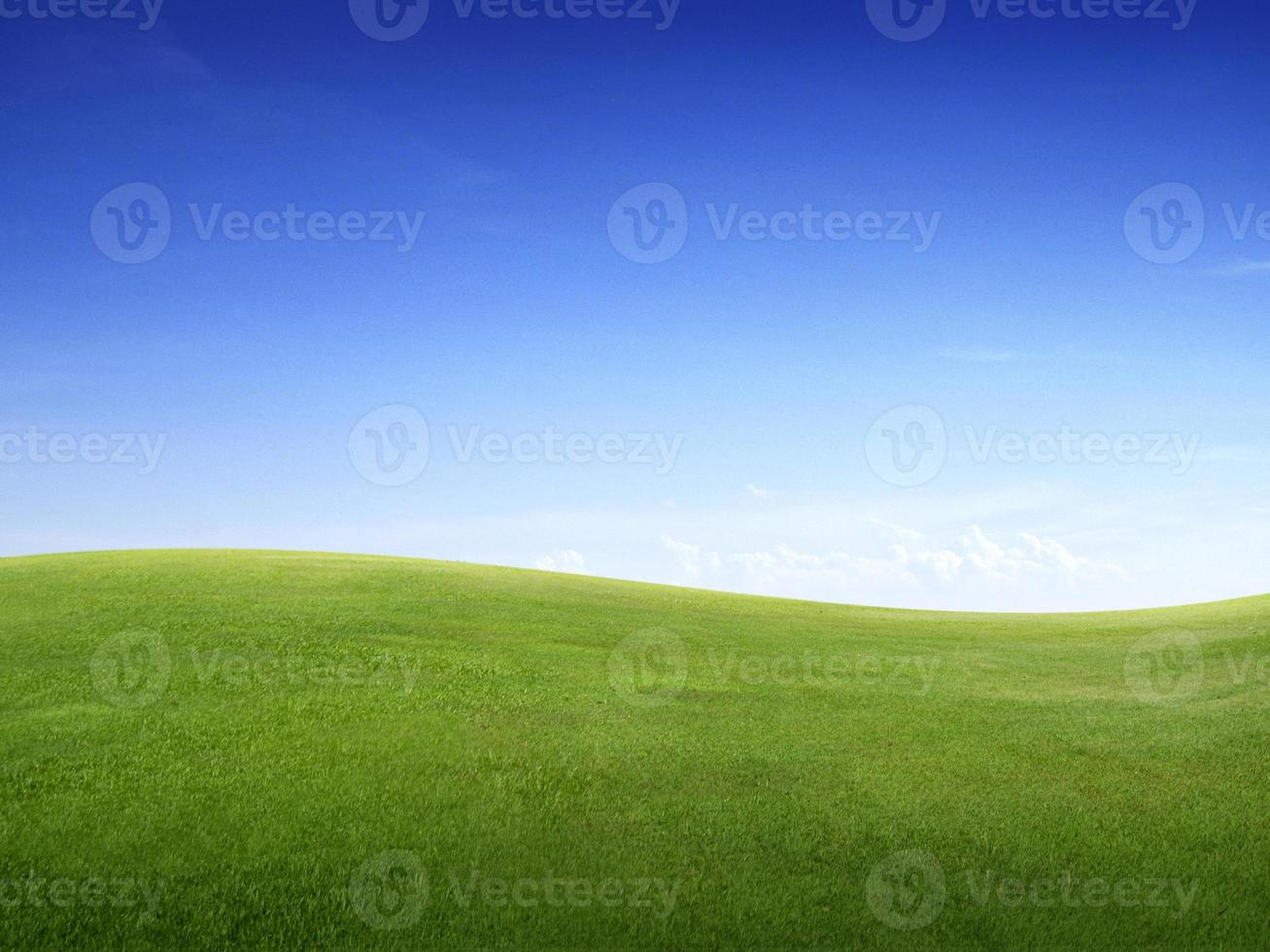 campo di erba verde verde e cielo blu brillante foto