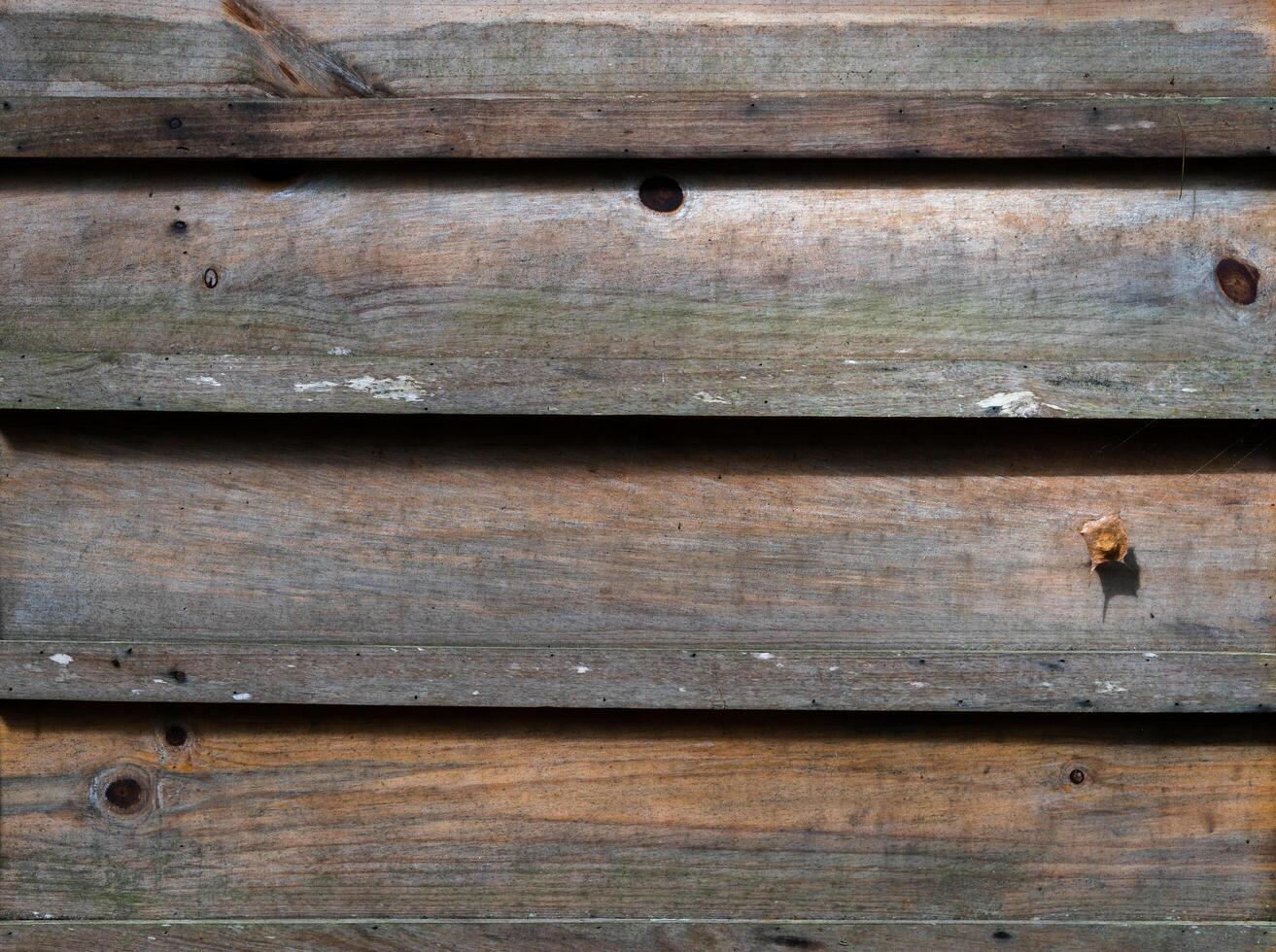 la superficie delle pareti di assi di legno per lo sfondo. chiudere il vecchio legno con una trama dettagliata. foto