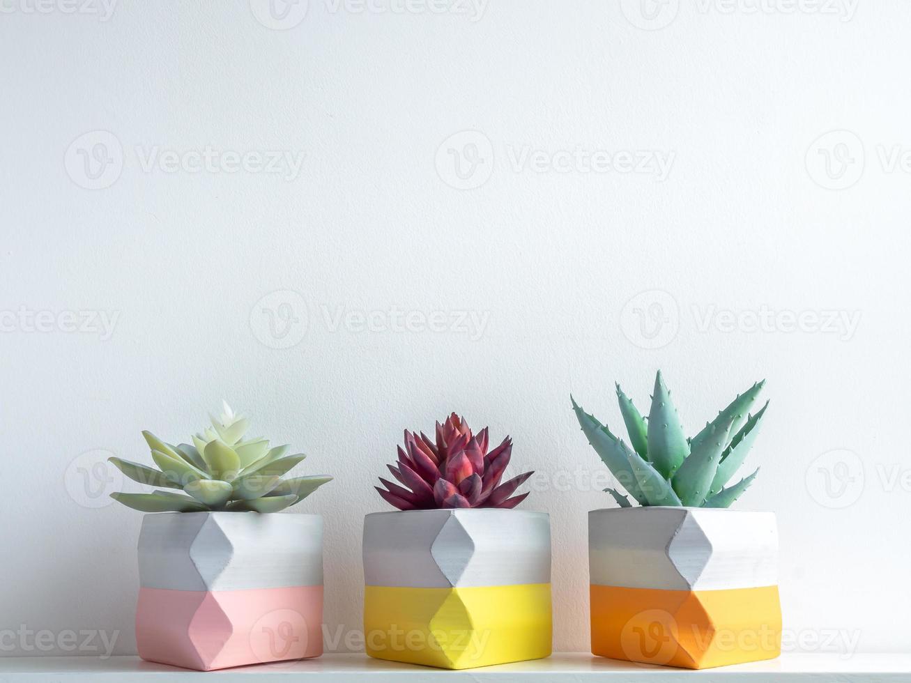 vaso di cactus. vaso di cemento. fioriera moderna geometrica in cemento. foto