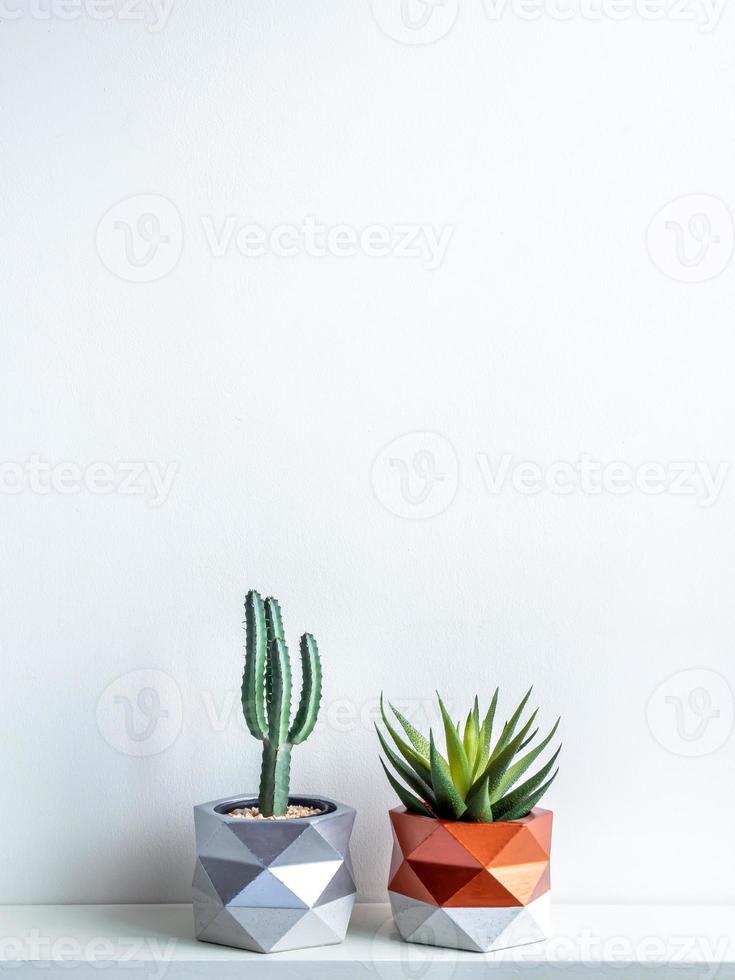 vaso di cactus. vaso di cemento. fioriera moderna geometrica in cemento. foto